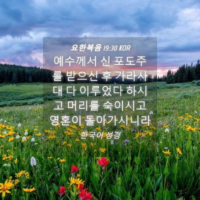 Picture 04 - 요한복음 19:30 KOR - 예수께서 신 포도주를 받으신 후 - Bible Verse Picture