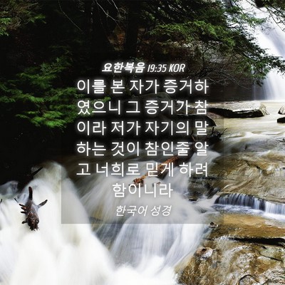 Picture 04 - 요한복음 19:35 KOR - 이를 본 자가 증거하였으니 그 - Bible Verse Picture