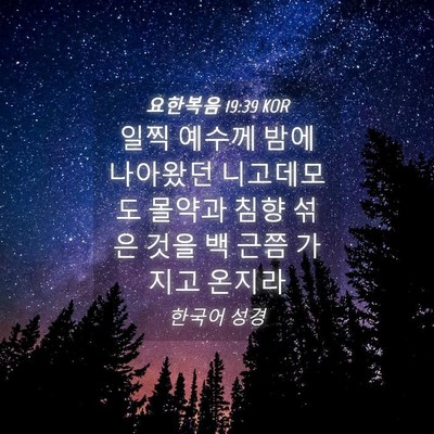 Picture 04 - 요한복음 19:39 KOR - 일찍 예수께 밤에 나아왔던 - Bible Verse Picture