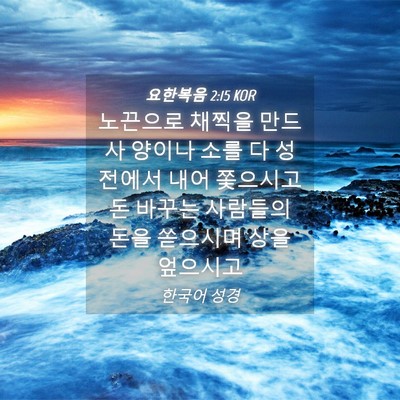 Picture 04 - 요한복음 2:15 KOR - 노끈으로 채찍을 만드사 양이나 소를 - Bible Verse Picture