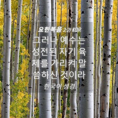 Picture 04 - 요한복음 2:21 KOR - 그러나 예수는 성전된 자기 육체를 - Bible Verse Picture