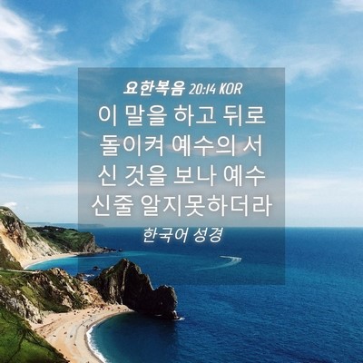 Picture 04 - 요한복음 20:14 KOR - 이 말을 하고 뒤로 돌이켜 예수의 - Bible Verse Picture