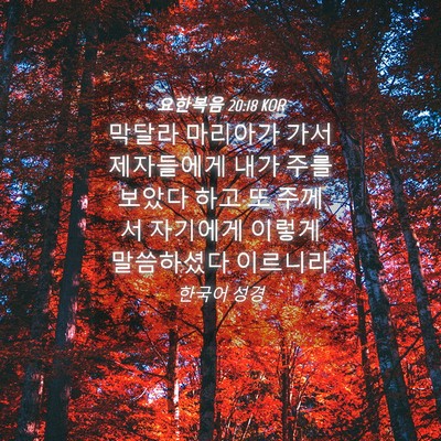 Picture 04 - 요한복음 20:18 KOR - 막달라 마리아가 가서 제자들에게 - Bible Verse Picture