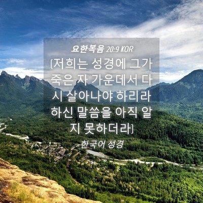 Picture 04 - 요한복음 20:9 KOR - (저희는 성경에 그가 죽은 자 - Bible Verse Picture