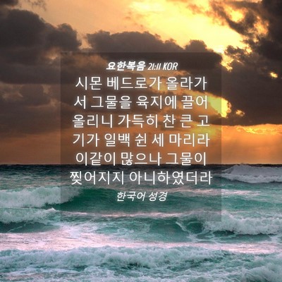 Picture 04 - 요한복음 21:11 KOR - 시몬 베드로가 올라가서 그물을 - Bible Verse Picture