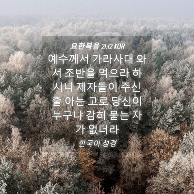 Picture 04 - 요한복음 21:12 KOR - 예수께서 가라사대 와서 조반을 - Bible Verse Picture
