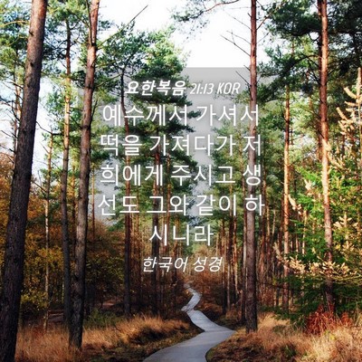 Picture 04 - 요한복음 21:13 KOR - 예수께서 가셔서 떡을 가져다가 - Bible Verse Picture