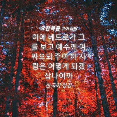 Picture 04 - 요한복음 21:21 KOR - 이에 베드로가 그를 보고 예수께 - Bible Verse Picture