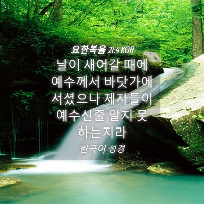 Picture 04 - 요한복음 21:4 KOR - 날이 새어갈 때에 예수께서 바닷가에 - Bible Verse Picture