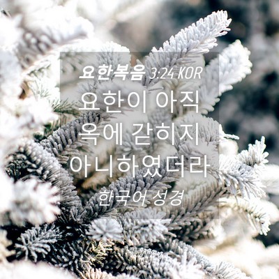 Picture 04 - 요한복음 3:24 KOR - 요한이 아직 옥에 갇히지 - Bible Verse Picture