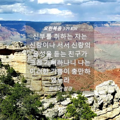 Picture 04 - 요한복음 3:29 KOR - 신부를 취하는 자는 신랑이나 서서 - Bible Verse Picture