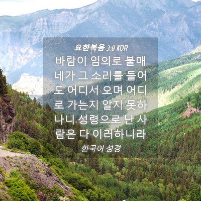 Picture 04 - 요한복음 3:8 KOR - 바람이 임의로 불매 네가 그 소리를 - Bible Verse Picture