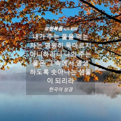 Picture 04 - 요한복음 4:14 KOR - 내가 주는 물을 먹는 자는 영원히 - Bible Verse Picture