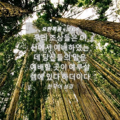 Picture 04 - 요한복음 4:20 KOR - 우리 조상들은 이 산에서 - Bible Verse Picture