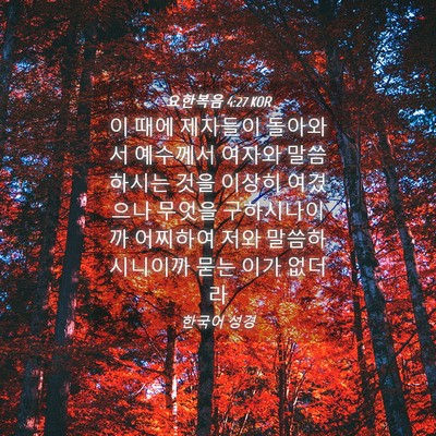Picture 04 - 요한복음 4:27 KOR - 이 때에 제자들이 돌아와서 예수께서 - Bible Verse Picture