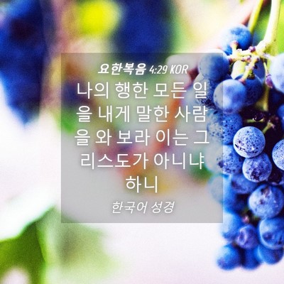 Picture 04 - 요한복음 4:29 KOR - 나의 행한 모든 일을 내게 말한 - Bible Verse Picture