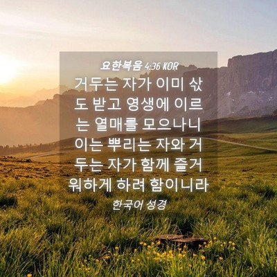 Picture 04 - 요한복음 4:36 KOR - 거두는 자가 이미 삯도 받고 영생에 - Bible Verse Picture