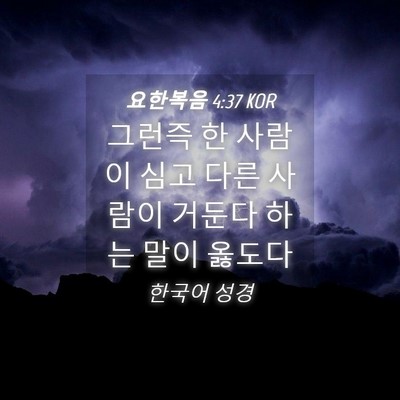 Picture 04 - 요한복음 4:37 KOR - 그런즉 한 사람이 심고 다른 사람이 - Bible Verse Picture