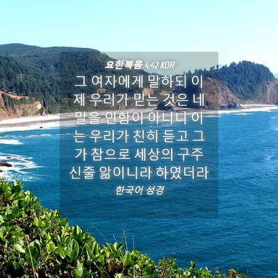 Picture 04 - 요한복음 4:42 KOR - 그 여자에게 말하되 이제 우리가 - Bible Verse Picture