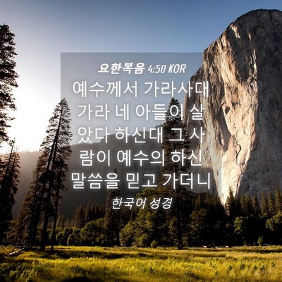 Picture 04 - 요한복음 4:50 KOR - 예수께서 가라사대 가라 네 아들이 - Bible Verse Picture
