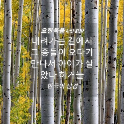 Picture 04 - 요한복음 4:51 KOR - 내려가는 길에서 그 종들이 오다가 - Bible Verse Picture