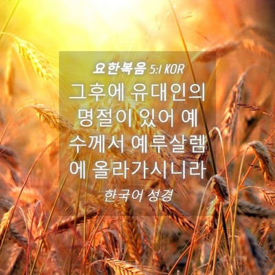 Picture 04 - 요한복음 5:1 KOR - 그후에 유대인의 명절이 있어 - Bible Verse Picture