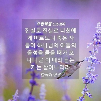 Picture 04 - 요한복음 5:25 KOR - 진실로 진실로 너희에게 이르노니 - Bible Verse Picture