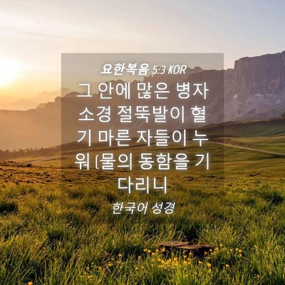 Picture 04 - 요한복음 5:3 KOR - 그 안에 많은 병자 소경 절뚝발이 - Bible Verse Picture