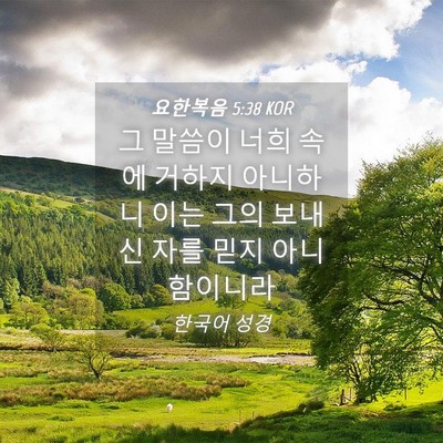 Picture 04 - 요한복음 5:38 KOR - 그 말씀이 너희 속에 거하지 - Bible Verse Picture