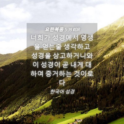Picture 04 - 요한복음 5:39 KOR - 너희가 성경에서 영생을 얻는줄 - Bible Verse Picture