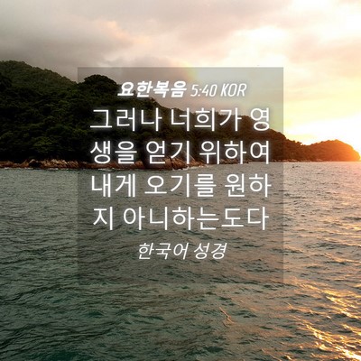 Picture 04 - 요한복음 5:40 KOR - 그러나 너희가 영생을 얻기 위하여 - Bible Verse Picture