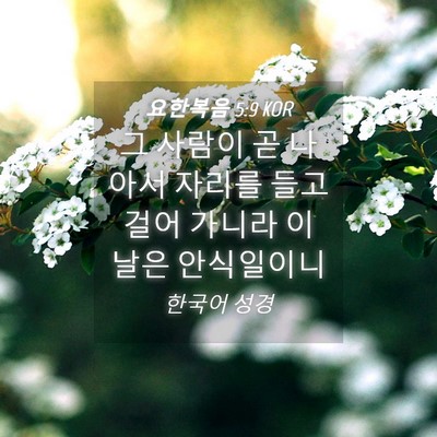 Picture 04 - 요한복음 5:9 KOR - 그 사람이 곧 나아서 자리를 들고 - Bible Verse Picture