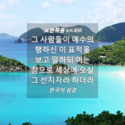 Picture 04 - 요한복음 6:14 KOR - 그 사람들이 예수의 행하신 이 - Bible Verse Picture