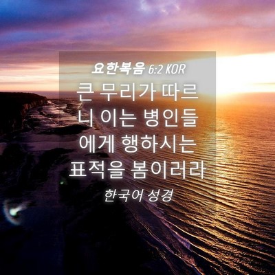 Picture 04 - 요한복음 6:2 KOR - 큰 무리가 따르니 이는 병인들에게 - Bible Verse Picture