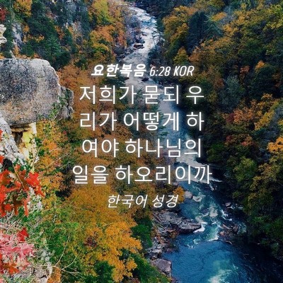 Picture 04 - 요한복음 6:28 KOR - 저희가 묻되 우리가 어떻게 하여야 - Bible Verse Picture