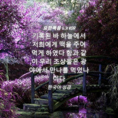 Picture 04 - 요한복음 6:31 KOR - 기록된 바 하늘에서 저희에게 떡을 - Bible Verse Picture
