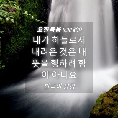 Picture 04 - 요한복음 6:38 KOR - 내가 하늘로서 내려온 것은 내뜻을 - Bible Verse Picture
