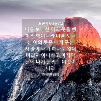 Picture 04 - 요한복음 6:39 KOR - 나를 보내신 이의 뜻을 행하려 - Bible Verse Picture