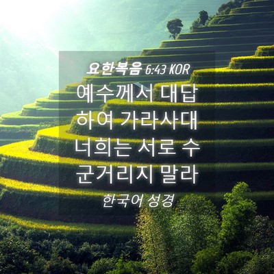 Picture 04 - 요한복음 6:43 KOR - 예수께서 대답하여 가라사대 너희는 - Bible Verse Picture