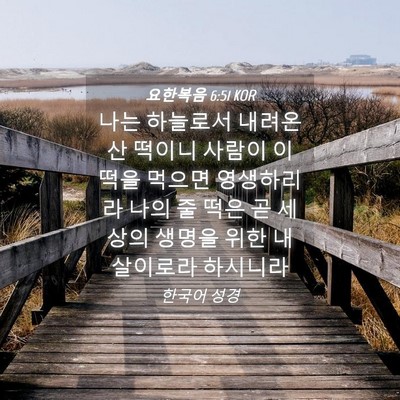 Picture 04 - 요한복음 6:51 KOR - 나는 하늘로서 내려온 산 떡이니 - Bible Verse Picture