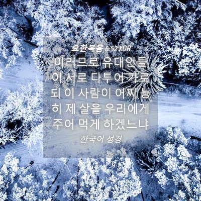Picture 04 - 요한복음 6:52 KOR - 이러므로 유대인들이 서로 다투어 - Bible Verse Picture