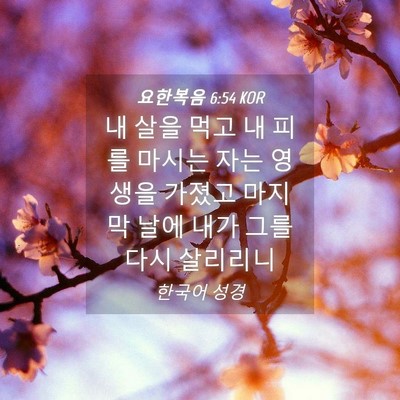 Picture 04 - 요한복음 6:54 KOR - 내 살을 먹고 내 피를 마시는 자는 - Bible Verse Picture