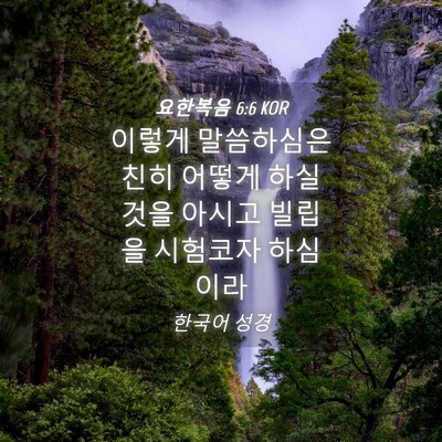 Picture 04 - 요한복음 6:6 KOR - 이렇게 말씀하심은 친히 어떻게 하실 - Bible Verse Picture