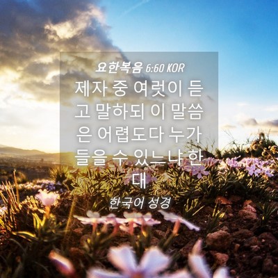 Picture 04 - 요한복음 6:60 KOR - 제자 중 여럿이 듣고 말하되 이 - Bible Verse Picture