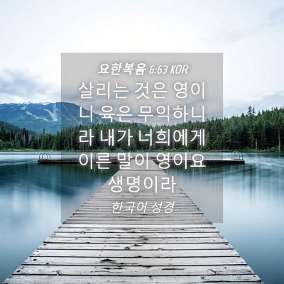 Picture 04 - 요한복음 6:63 KOR - 살리는 것은 영이니 육은 무익하니라 - Bible Verse Picture