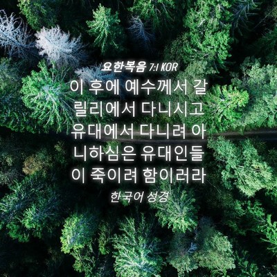 Picture 04 - 요한복음 7:1 KOR - 이 후에 예수께서 갈릴리에서 - Bible Verse Picture