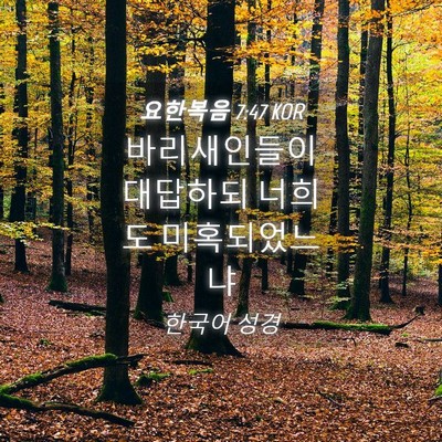 Picture 04 - 요한복음 7:47 KOR - 바리새인들이 대답하되 너희도 - Bible Verse Picture