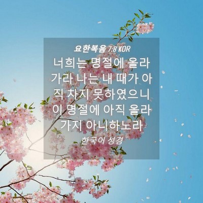 Picture 04 - 요한복음 7:8 KOR - 너희는 명절에 올라가라 나는 내 - Bible Verse Picture