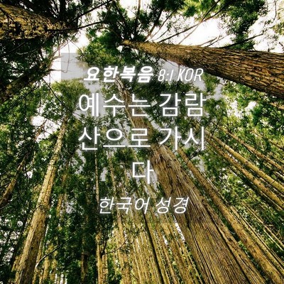 Picture 04 - 요한복음 8:1 KOR - 예수는 감람산으로 - Bible Verse Picture