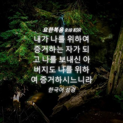 Picture 04 - 요한복음 8:18 KOR - 내가 나를 위하여 증거하는 자가 - Bible Verse Picture